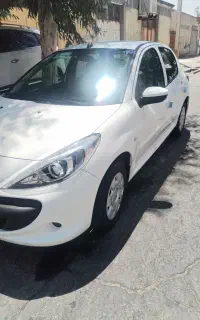 207 tu3