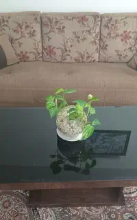 مبل هفت نفره راحتیی