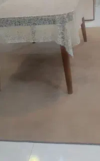 موکت ظریف مصور