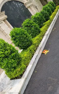 خدمات باغبانی در سراسر کرج