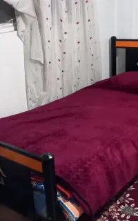 تخت