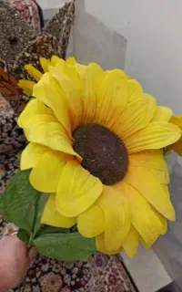 گل و گلدان