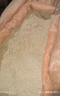 سبوس شالی درجه ۱