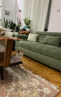 خانم جهت کار در منزل