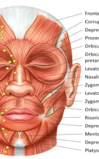تخفیف عیدتاعید خدمات بوتاکس،ژل، مطب پزشک در کردکوی