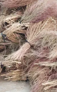 جارو محلی