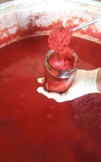 رب گوجه هیزمی درجه یک ارگانیک