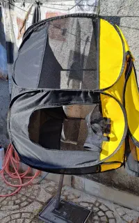 پارک بازی سگ وگربه