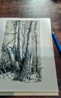 آموزش خصوصی طراحی با مداد و نقاشی رنگ روغن