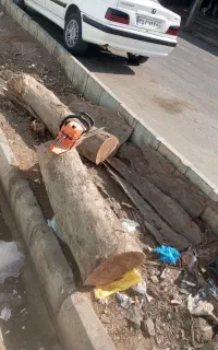 برشکاری و قطع درختان گز کهور و نخل در خدمتم