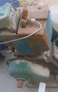 مارگو