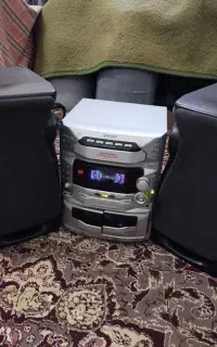 ظبط خانگی