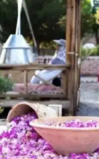 سفر کاشان