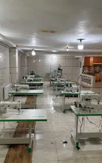 میاندوز کار حرفه ای