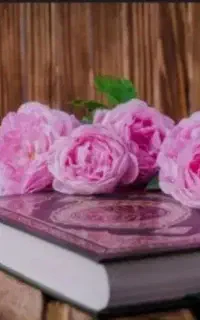 سرکتاب دعافال سیده