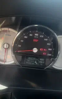 ساینا