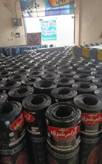 شهر ایزوگام