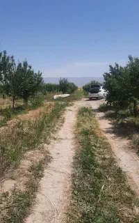 جک جی فور تمیز