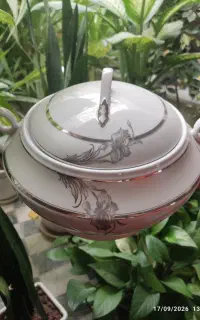فنجون و سوپ خوری چینی