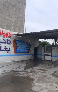 شاگرد کاربلد