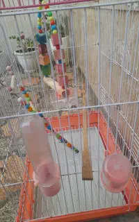 قفس پرنده