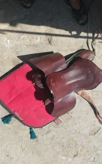 تجهیزات اسب