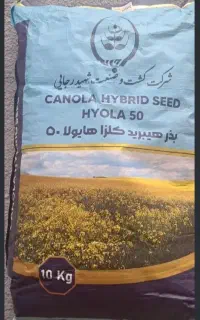 بذر کلزا هایولا ۵۰