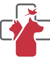 استخدام منشی