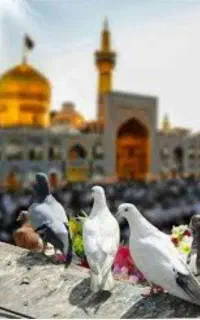 تور مشهد ازرشت با قطار هواپیما اتوبوس