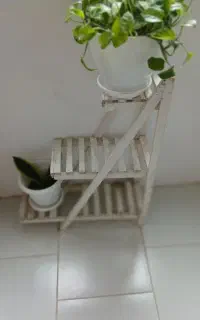 استند گل سالم