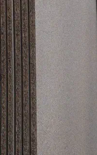 نوپان پانیذ