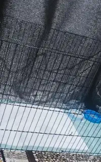 سینی ادرار سگ.پارک بزرگ