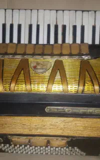 آکاردیون