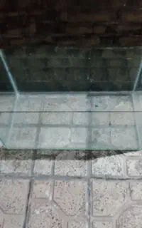 اکواریوم