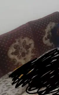 پشتی