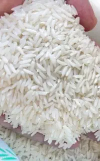 برنج دمسیاه ایرانی