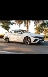 گمشده کیف مدارک