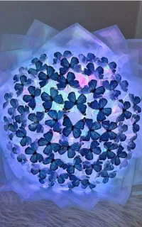 پروانه های جاودان