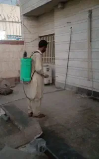 نظافت وسم پاشی