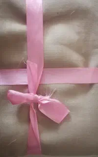 چرخ کار و خیاط بیرون بر هستم