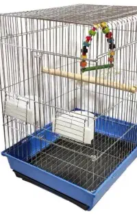 قفس