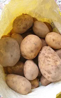 لوازم خانگی