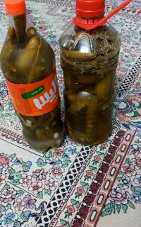 خیارشور خانگی ترد
