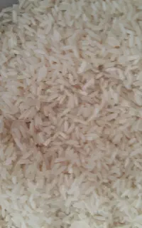 برنج پکستانی کیلویی ۲۲۰ به نرخ عمده