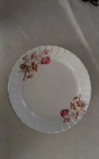 میوه خوری زرین