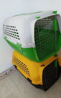 باکس  سگ‌ پاکوتاه جنس خوب