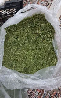 شویت تازه