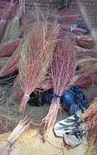جارو محلی