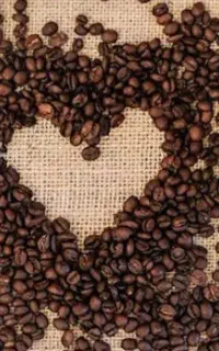 فنجان های شما را میخوانیم