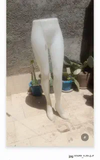 مایکن پا نو قیمت مناسب